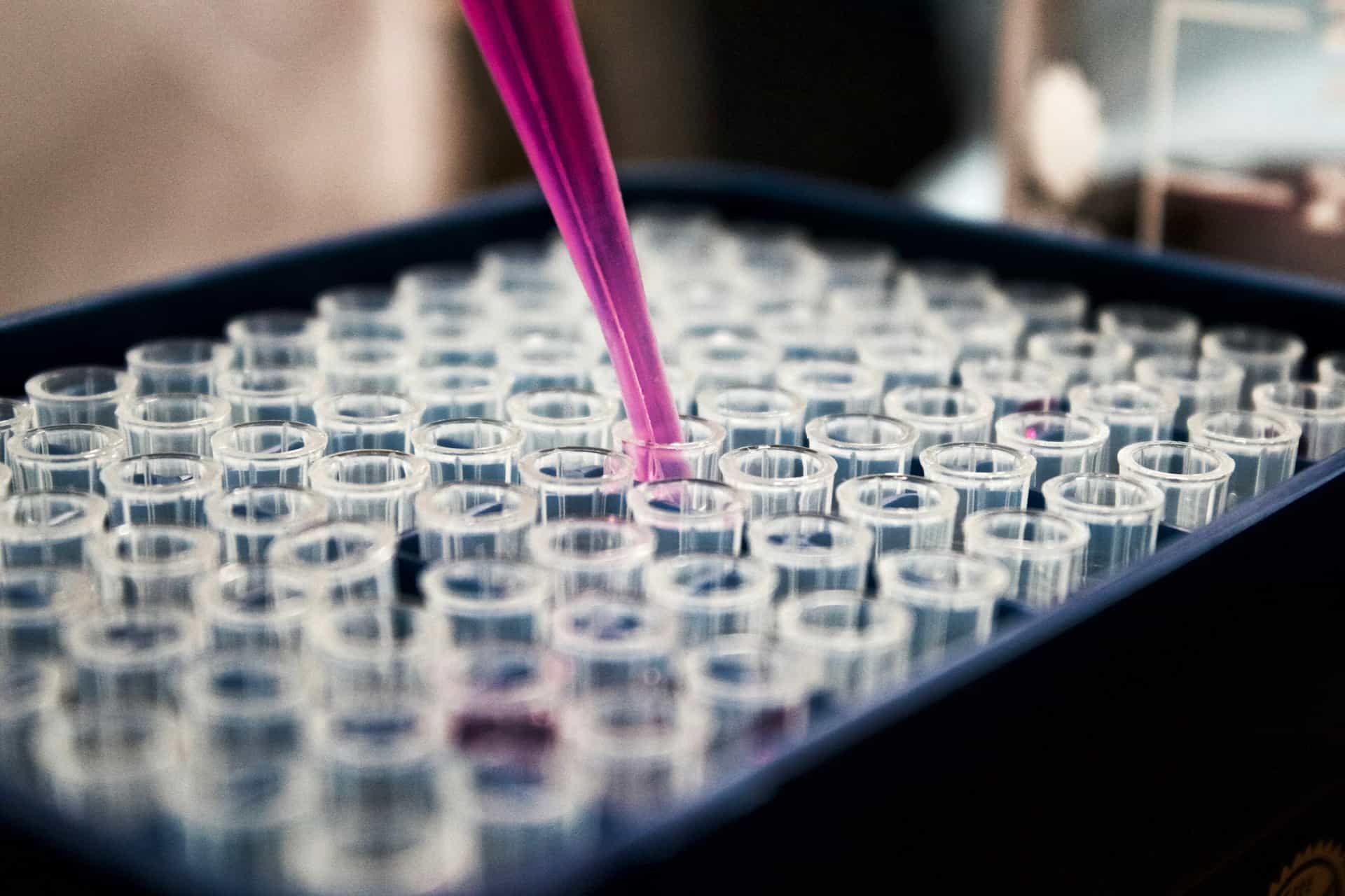 Laboratory pipette dispensing samples into a test tray for food testing
