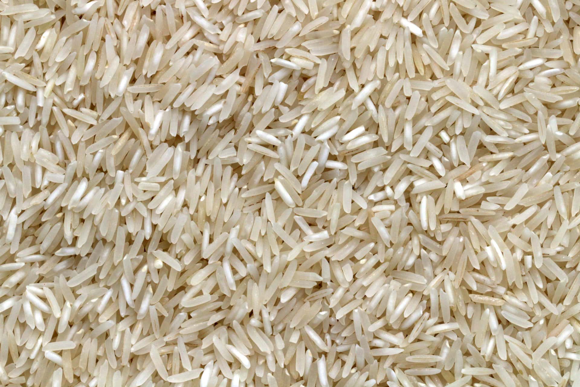 Bulk raw rice grains ready for processing